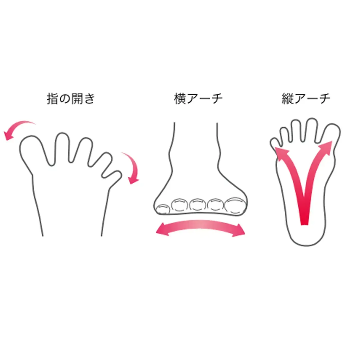 拇趾小趾分趾套 — 2